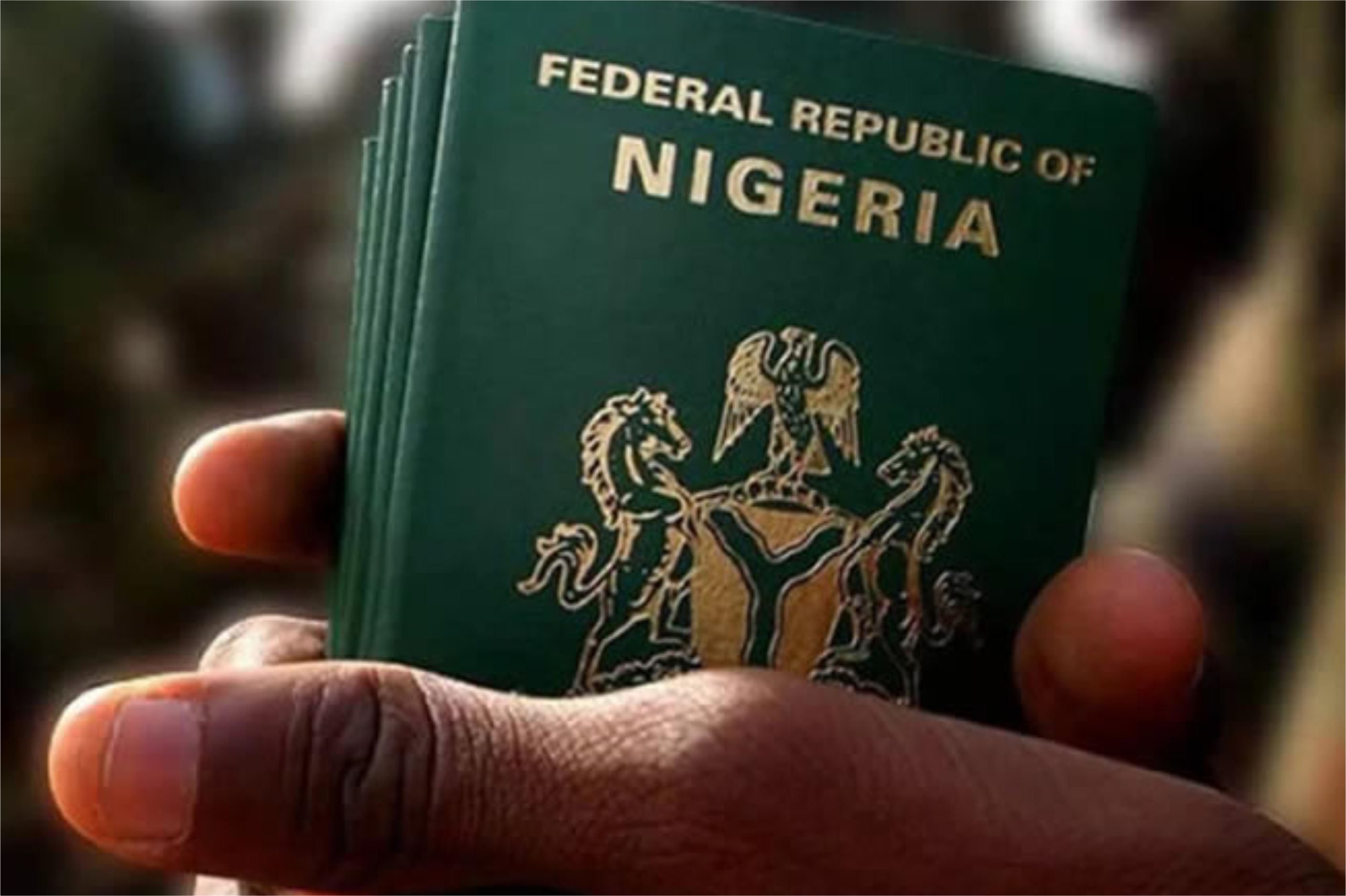 Immigration & Protocol